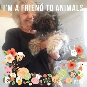 Meet your Posher, Janet